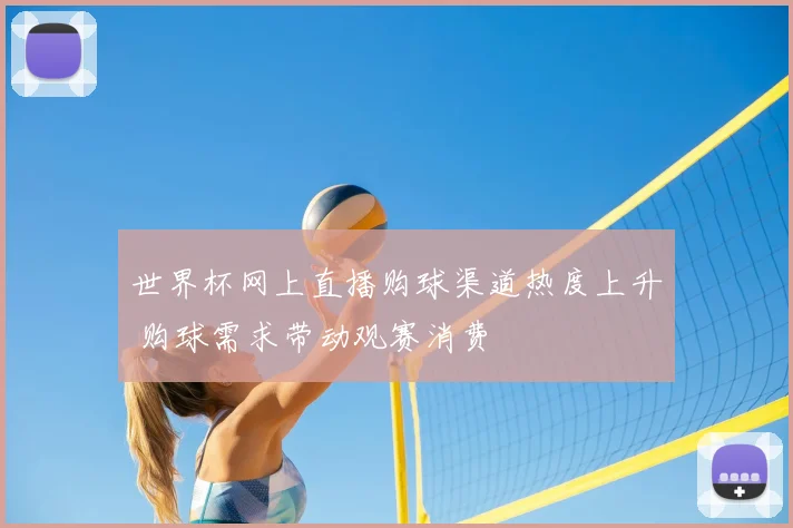 世界杯网上直播购球渠道热度上升 购球需求带动观赛消费
