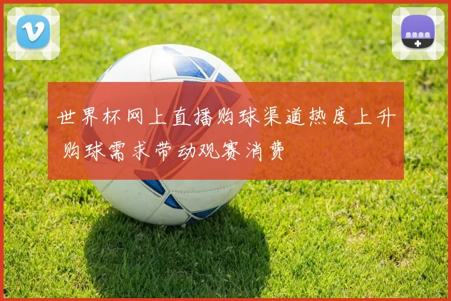 世界杯网上直播购球渠道热度上升 购球需求带动观赛消费