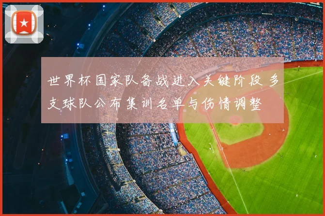 世界杯国家队备战进入关键阶段 多支球队公布集训名单与伤情调整
