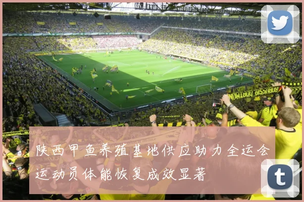 陕西甲鱼养殖基地供应助力全运会运动员体能恢复成效显著
