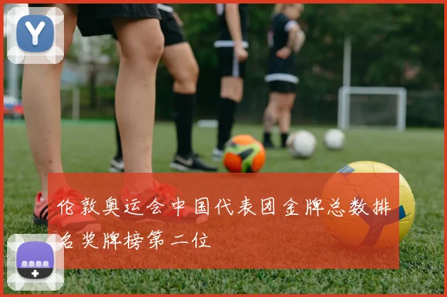 伦敦奥运会中国代表团金牌总数排名奖牌榜第二位