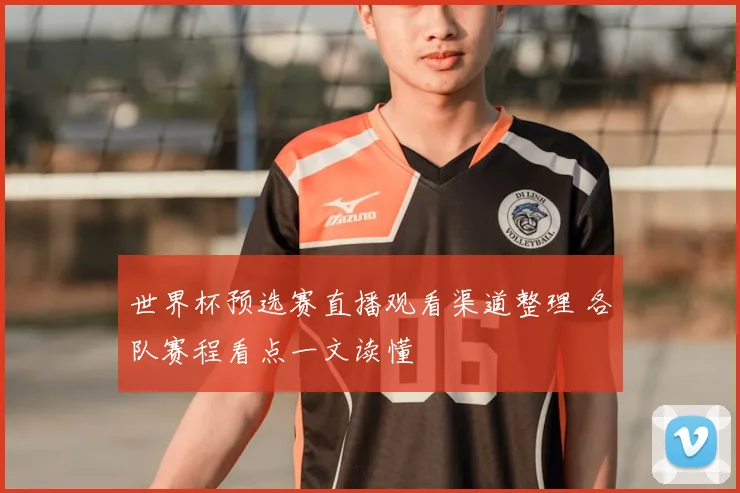 世界杯预选赛直播观看渠道整理 各队赛程看点一文读懂