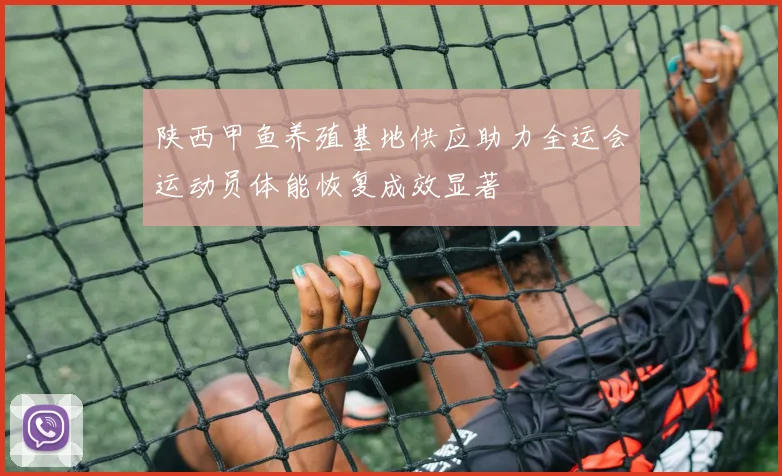 陕西甲鱼养殖基地供应助力全运会运动员体能恢复成效显著