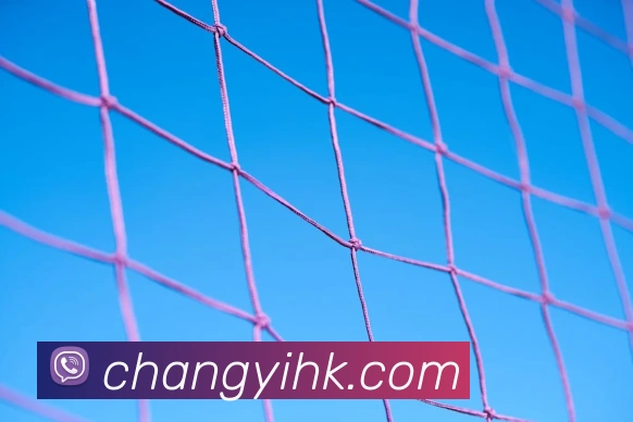 爱体育官网app下载发展历程